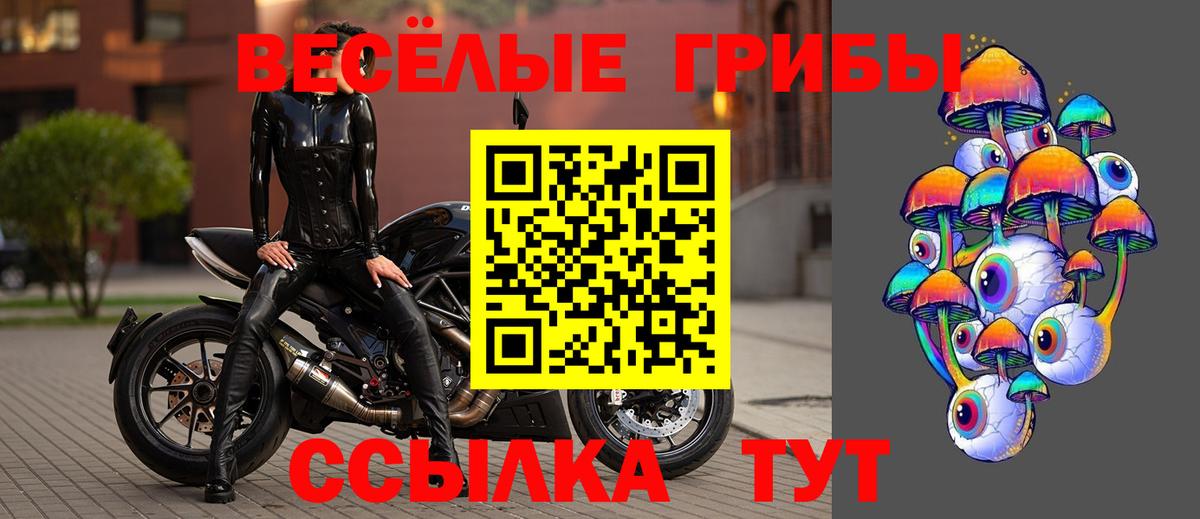 Псилоцибиновые грибы мухоморы Магадан